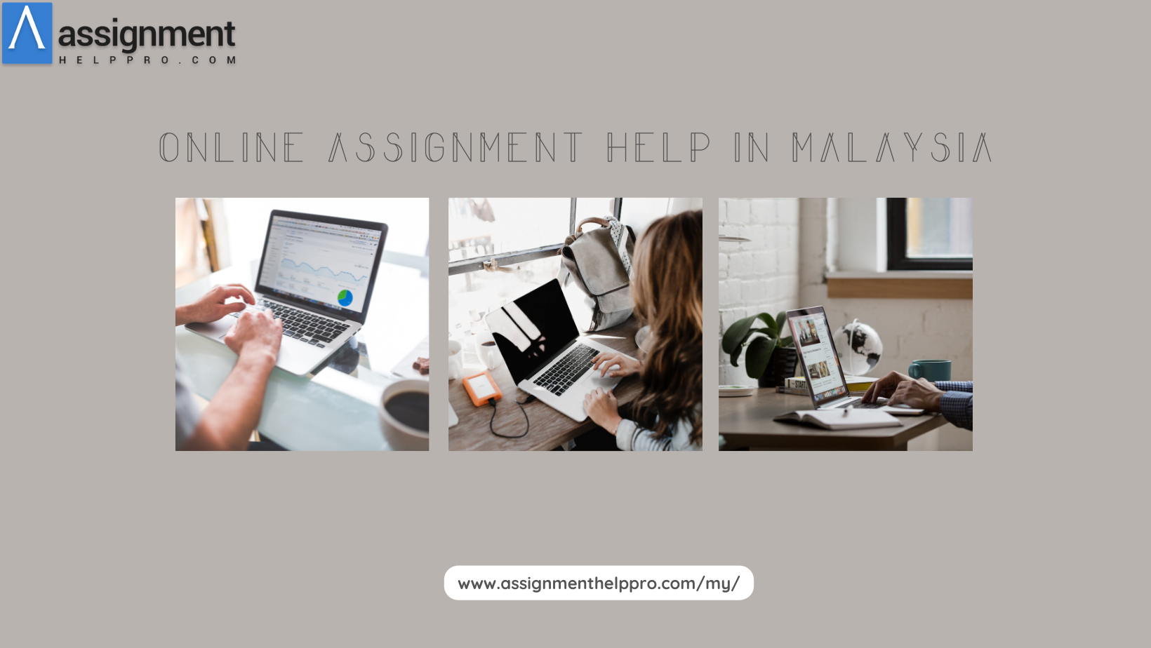 assignment company malaysia